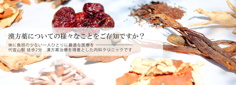 漢方薬は保険がきくことをご存知ですか？体に負担の少ない一人ひとりに最適な医療を。代官山駅徒歩2分、漢方薬治療を得意とした内科クリニックです。